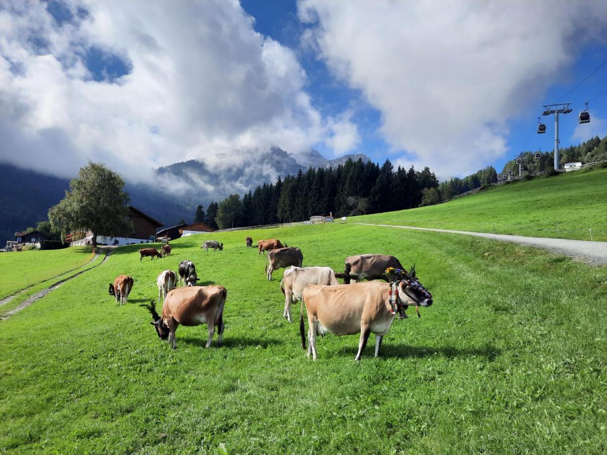 Farma Nockhof