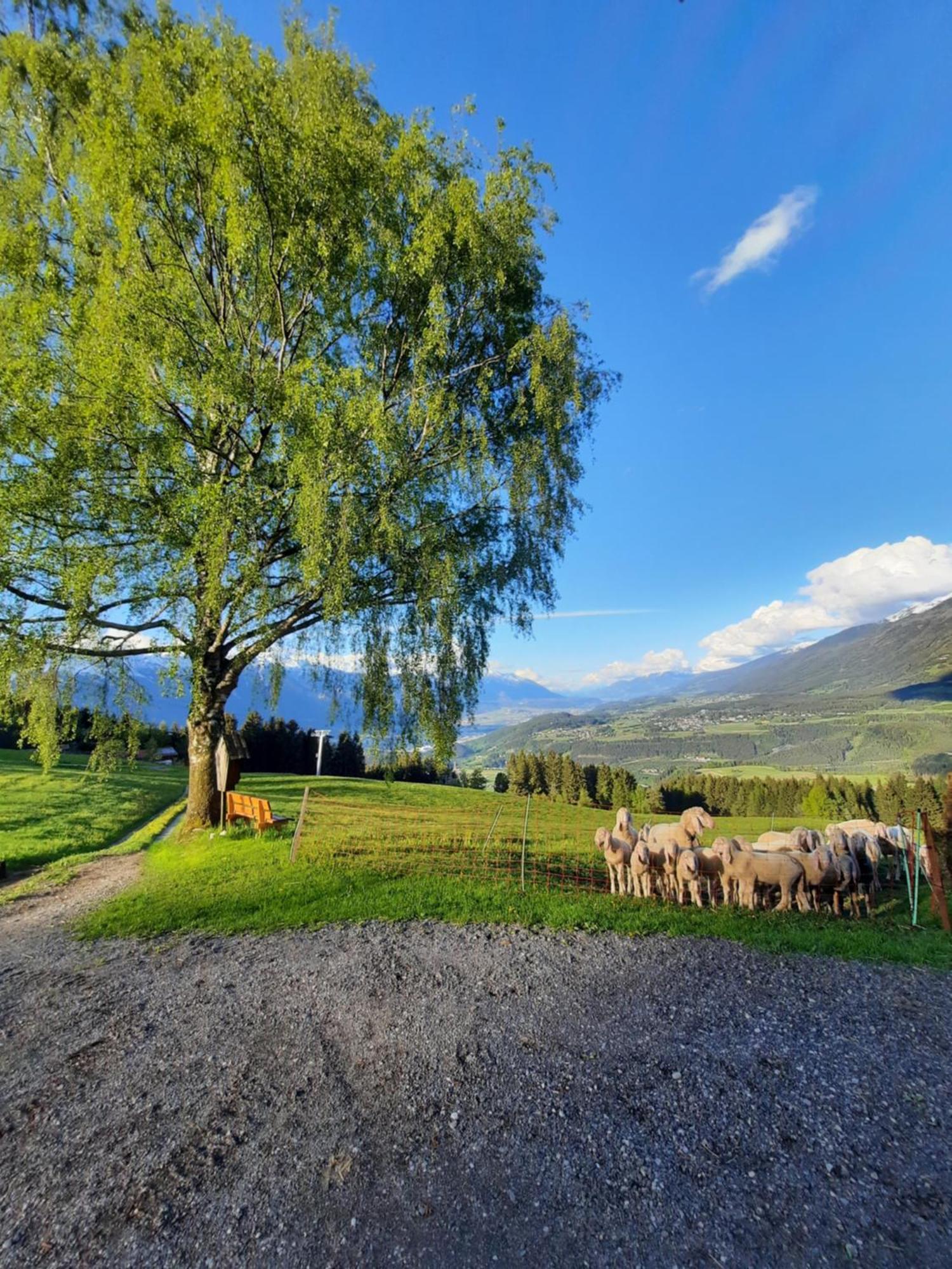 Farma Nockhof Innsbruck